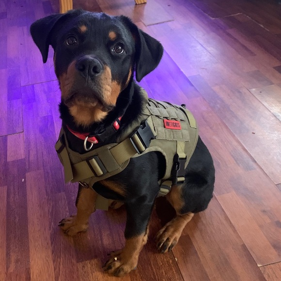 Meet your Posher, Ben - Picture 3 of 7